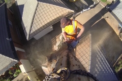 vlcsnap-2015-06-19-14h40m02s986