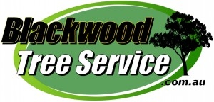 Blackwood Tree Service Logo